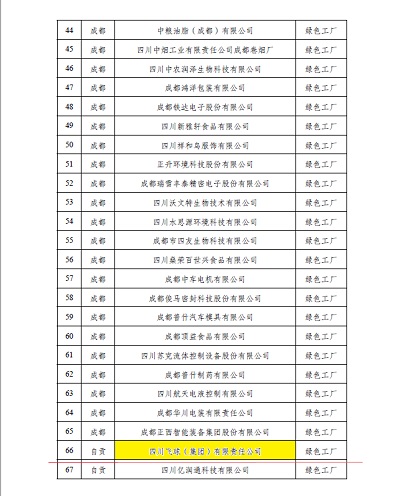 四川飛球成功獲評(píng)省級(jí)綠色工廠—專訪核心團(tuán)隊(duì)，暢談攻堅(jiān)歷程