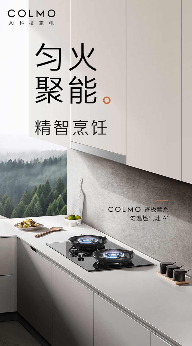 COLMO 嵌入式燃?xì)庠?月巖灰-雙邊定時 JZT-CYT52-A1