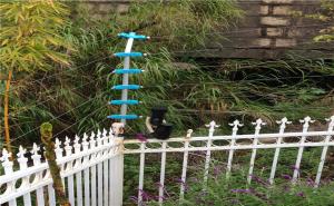 防盜報警系統有哪些種類？